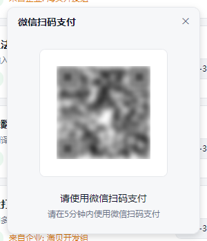 APP程序-扫码支付窗口